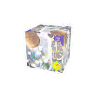 Новогодняя ночь Салют купить в Карабулаке | karabulak.salutsklad.ru