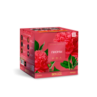 Пионы Салют купить в Карабулаке | karabulak.salutsklad.ru