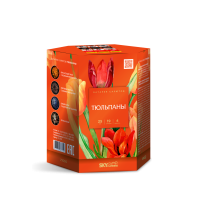 Тюльпаны Салют купить в Карабулаке | karabulak.salutsklad.ru