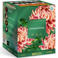 Хризантемы Фейерверк купить в Карабулаке | karabulak.salutsklad.ru