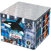 Косатка Фейерверк купить в Карабулаке | karabulak.salutsklad.ru