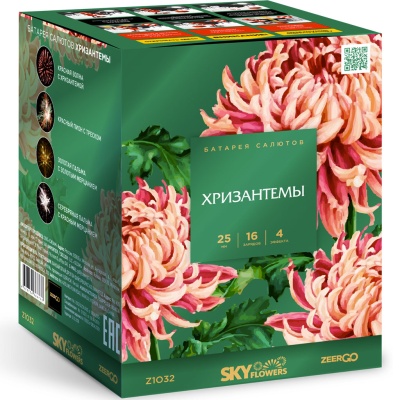 Хризантемы Фейерверк купить в Карабулаке | karabulak.salutsklad.ru